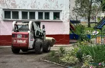 Фото нашего бобкэта
